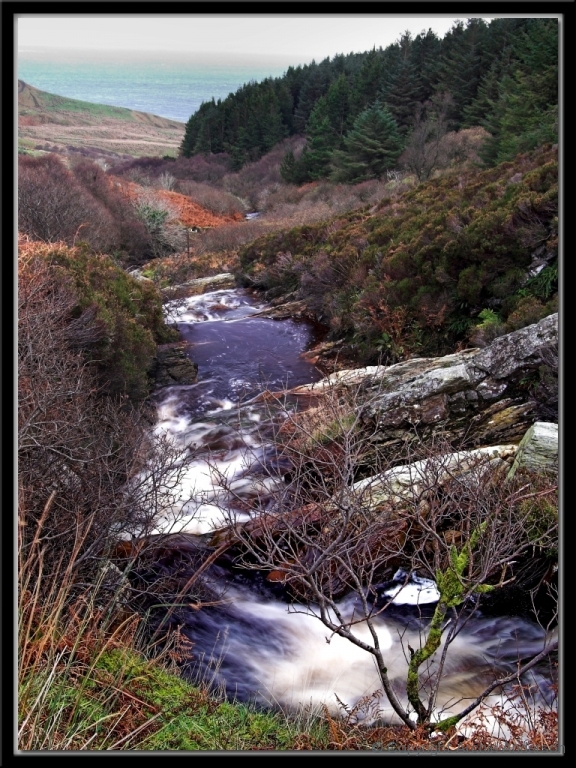 Stream