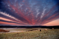 A Winter sunrise at Clachan