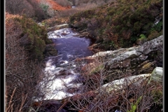 Stream