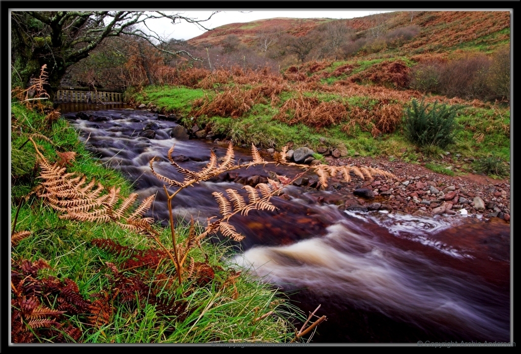 River