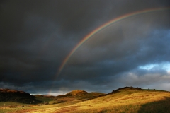 Knockscalbert Rainbow