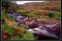 River